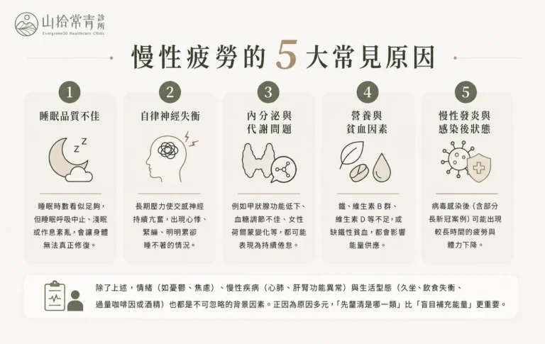 圖表列出慢性疲勞五大常見原因:睡眠、自律神經、內分泌、營養、發炎