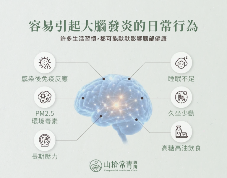 睡眠不足、久坐與不均衡飲食等大腦健康風險因素
