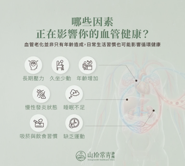 影響血管健康的常見因素,包括壓力、久坐、年齡、發炎、睡眠、吸菸飲食與缺乏運動
